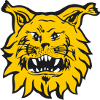 IF Elfsborg